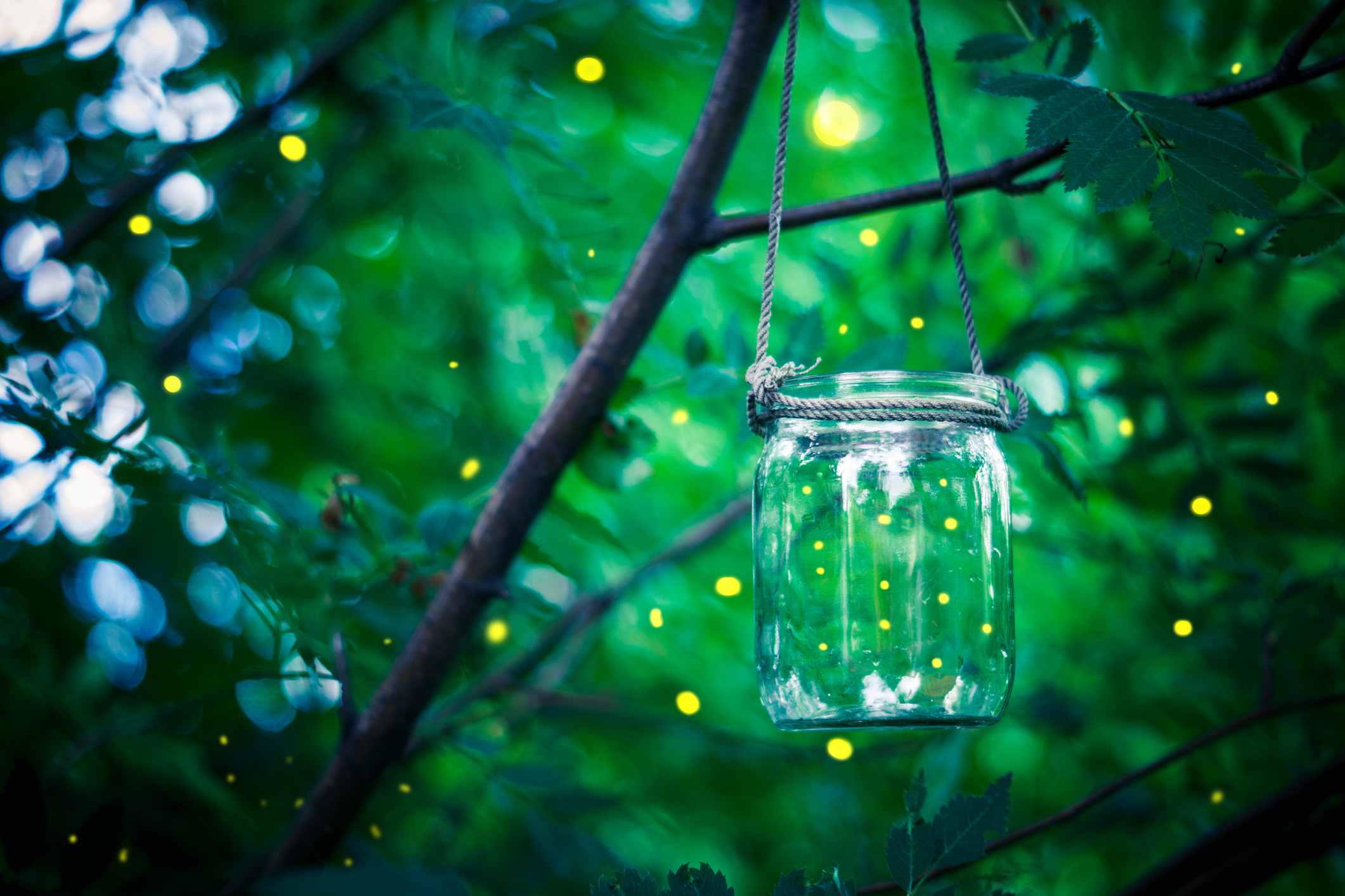Incompatible Species: Sharing Thoughts On Living in the Moment